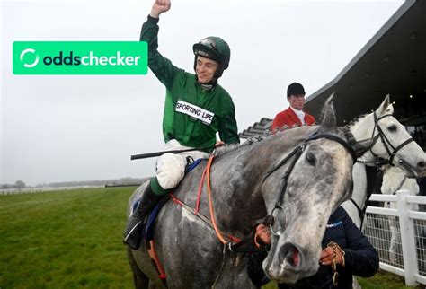 grand national oddschecker.
